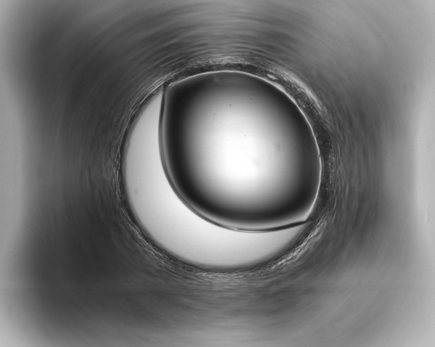 X0000094320785200711021351