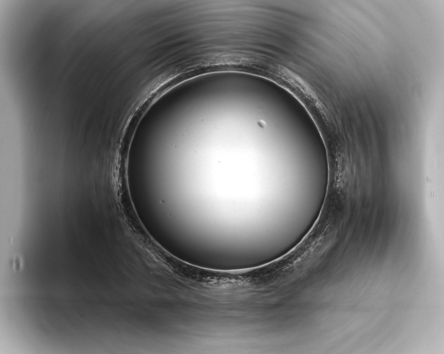 X0000094320786200711021351