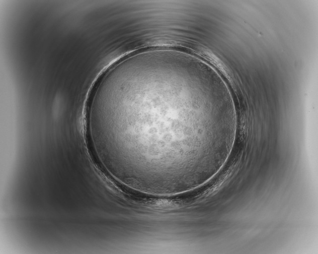 X0000094320787200711021351