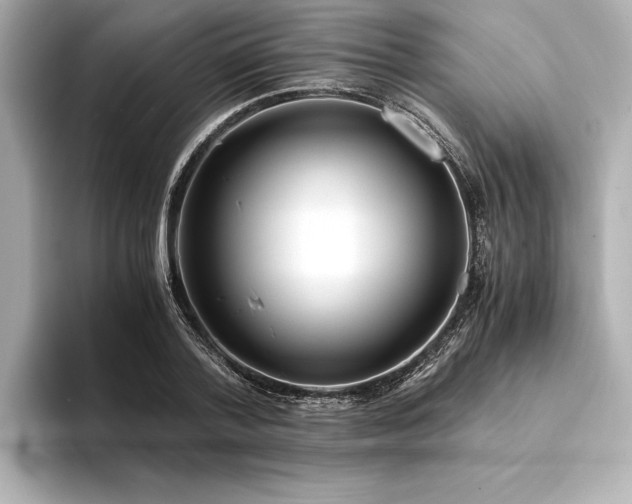 X0000094320788200711021351