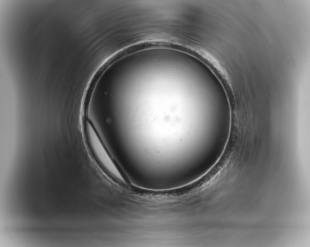 X0000094320791200711021351