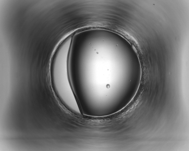 X0000094320792200711021351