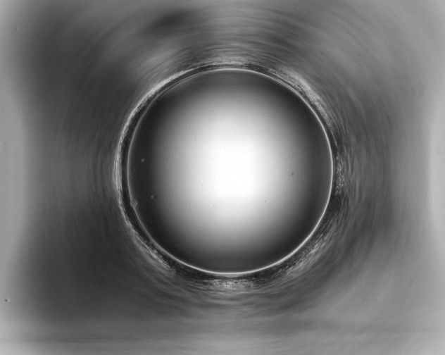 X0000094320795200711021351