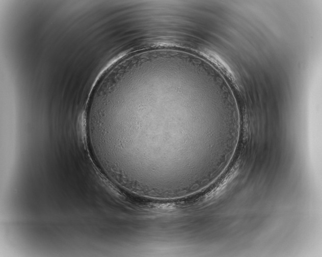 X0000094320798200711021351