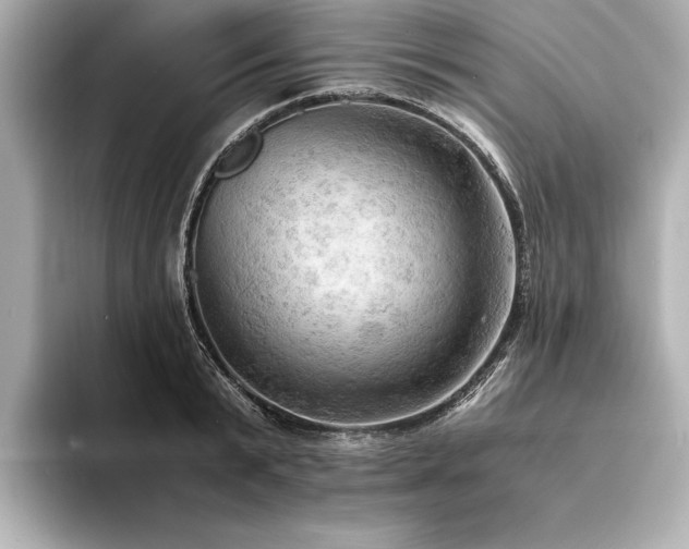 X0000094320799200711021351