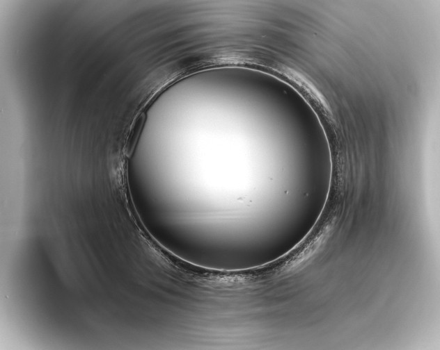 X0000094320801200711021351
