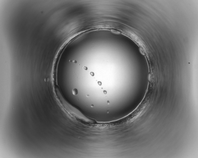 X0000094320803200711021351