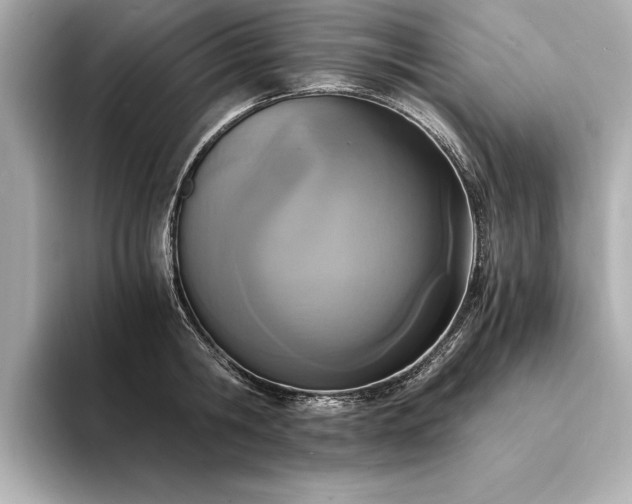 X0000094320806200711021350