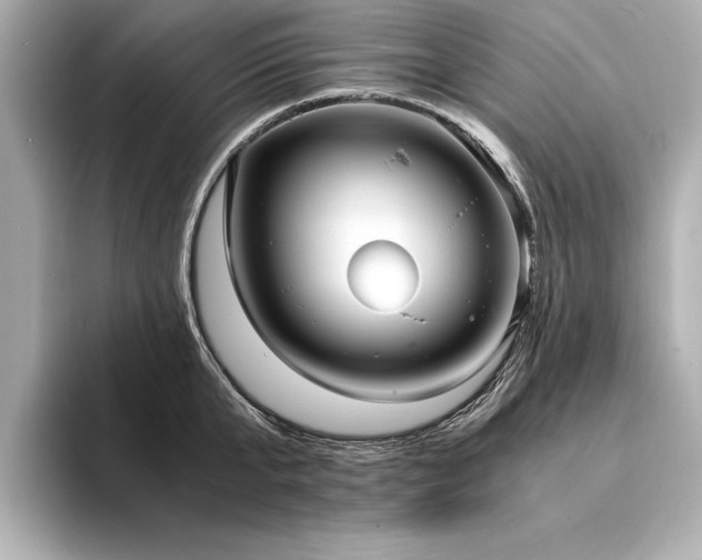 X0000094320807200711021350
