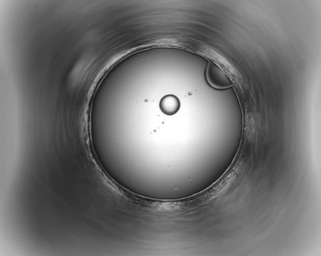 X0000094320808200711021350