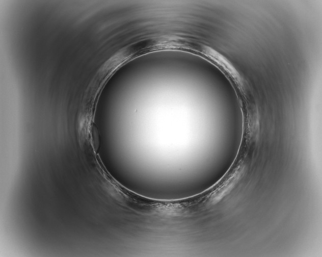 X0000094320809200711021350