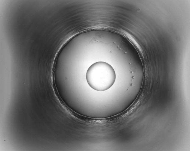 X0000094320810200711021350
