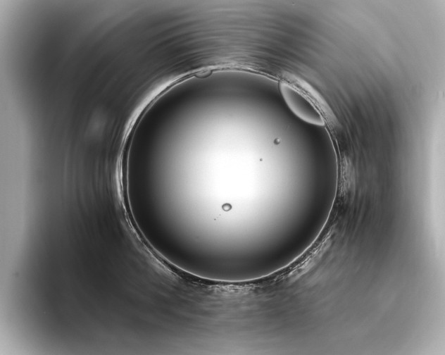 X0000094320812200711021350