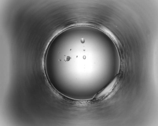 X0000094320813200711021350