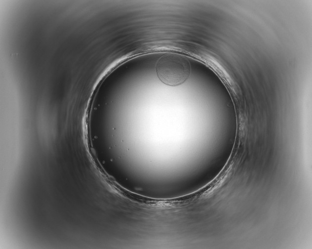 X0000094320814200711021350