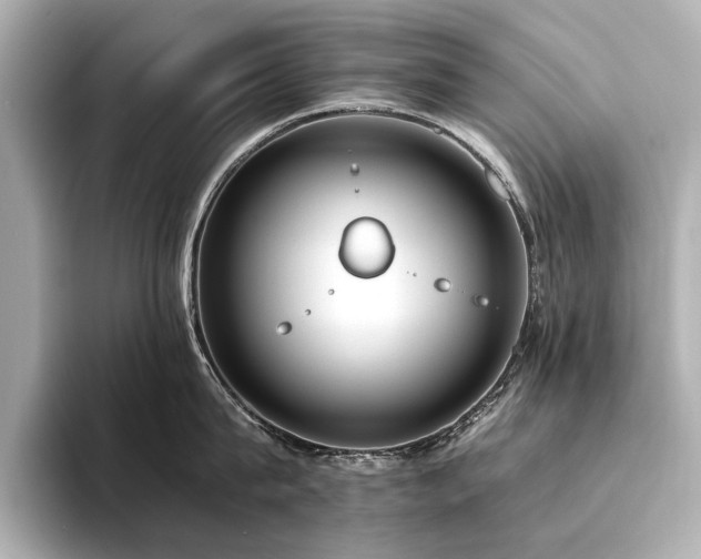 X0000094320815200711021350