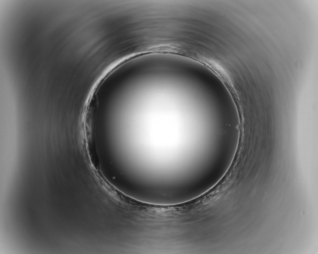 X0000094320816200711021350