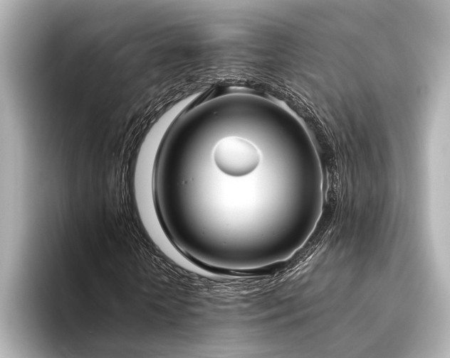 X0000094320818200711021350