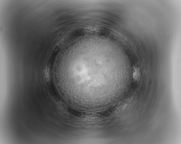 X0000094320819200711021350