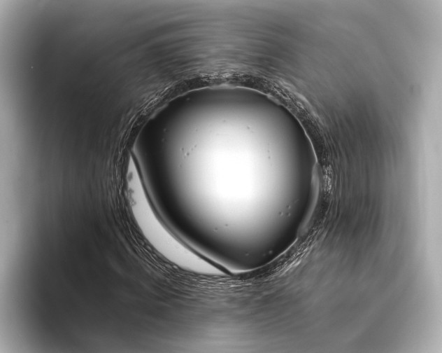 X0000094320820200711021350
