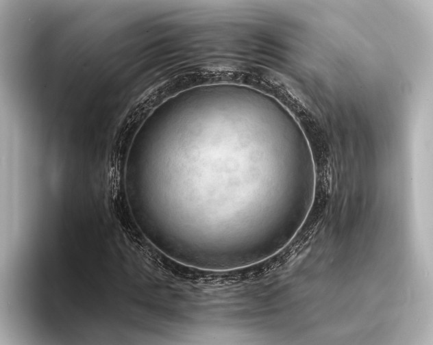 X0000094320821200711021350
