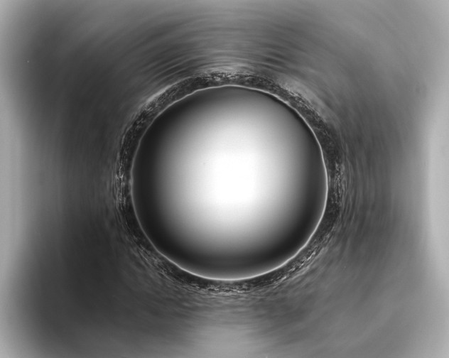 X0000094320822200711021350