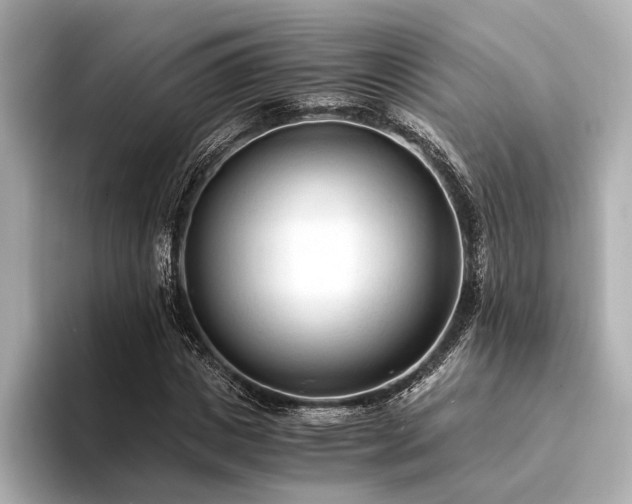 X0000094320825200711021350