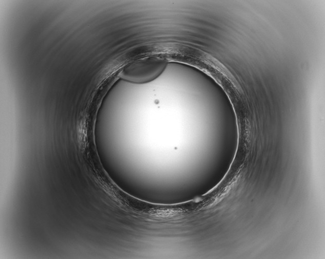 X0000094320826200711021350