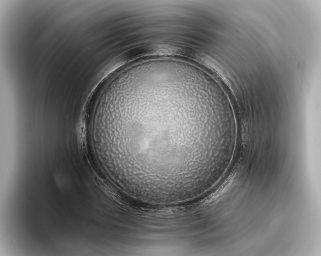 X0000094320827200711021350