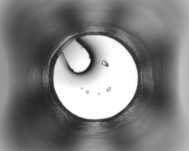 X0000094320828200711021350