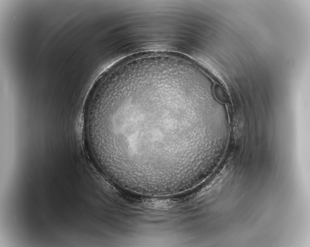 X0000094320831200711021350