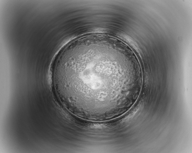 X0000094320835200711021350