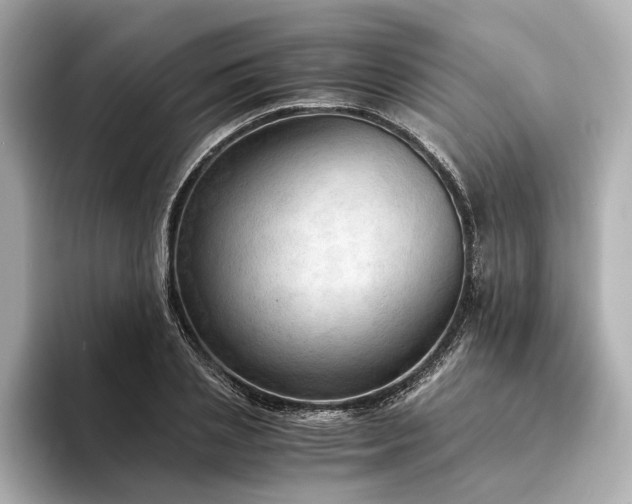 X0000094320837200711021350