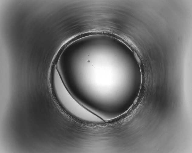 X0000094320838200711021350