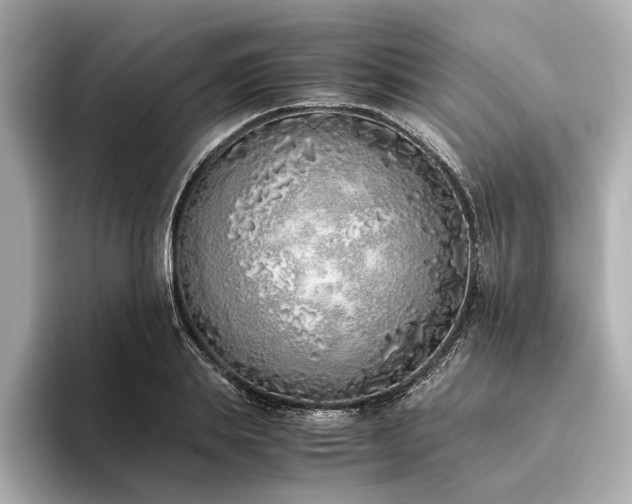 X0000094320839200711021350