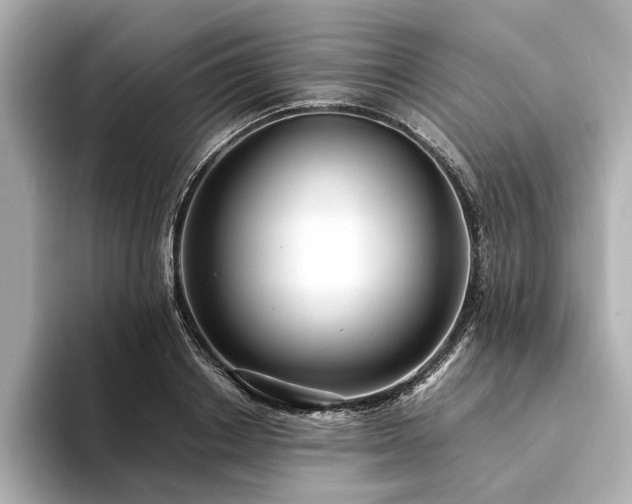 X0000094320842200711021350