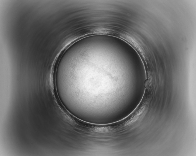 X0000094320843200711021350