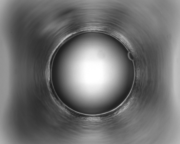 X0000094320844200711021350