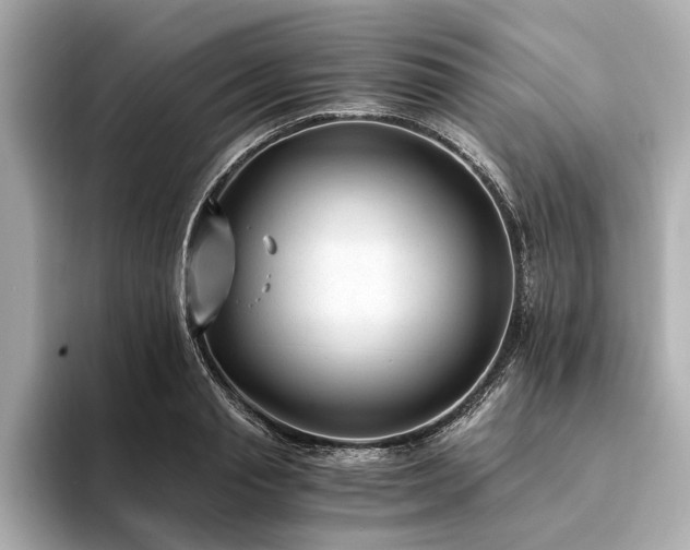 X0000094320845200711021350