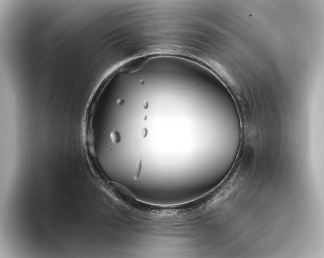 X0000094320846200711021350