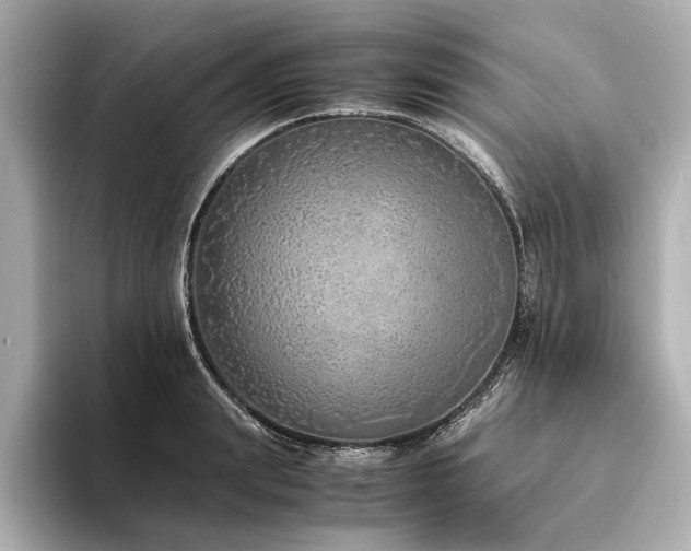 X0000094320847200711021350