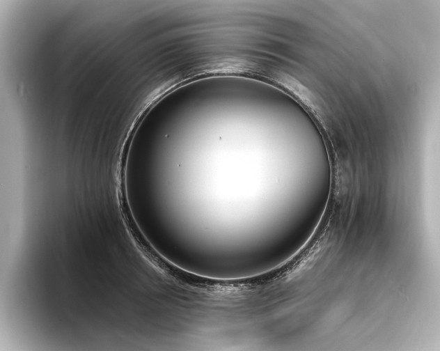 X0000094320850200711021350