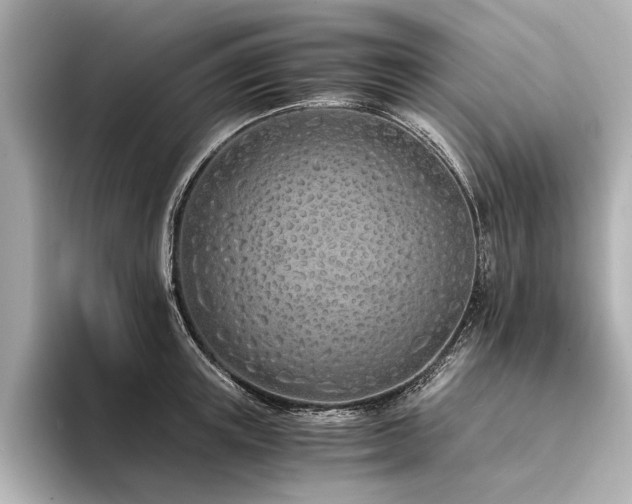 X0000094320851200711021350