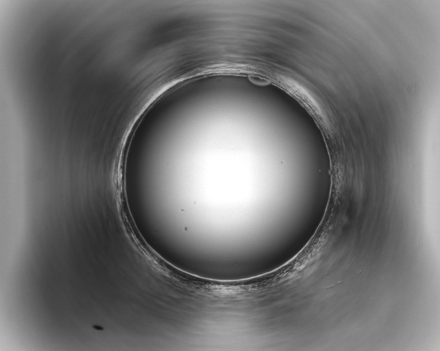 X0000094320852200711021350