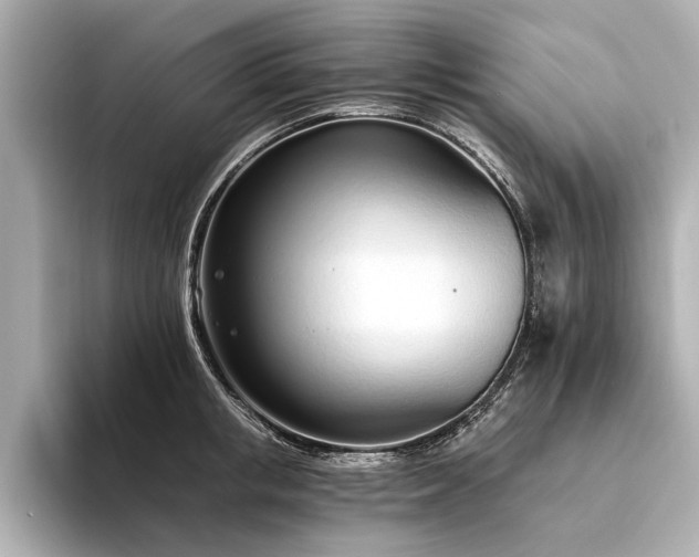 X0000094320853200711021350