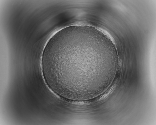 X0000094320855200711021350