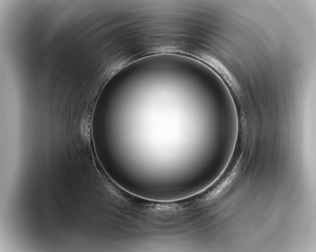 X0000094320857200711021350
