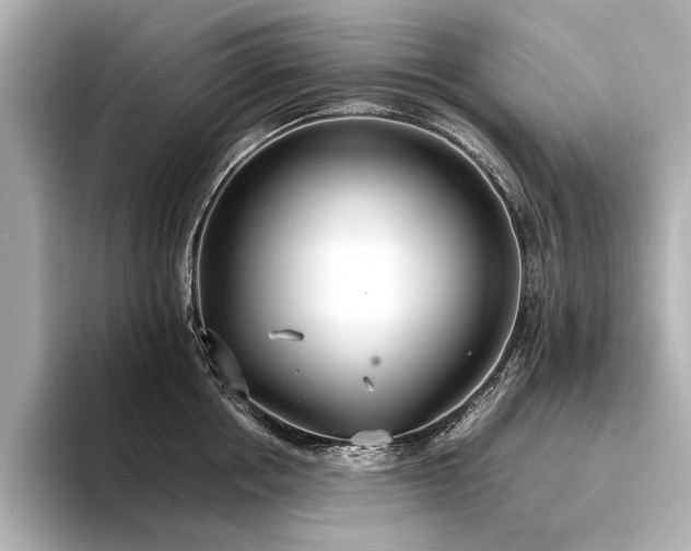X0000094320858200711021350