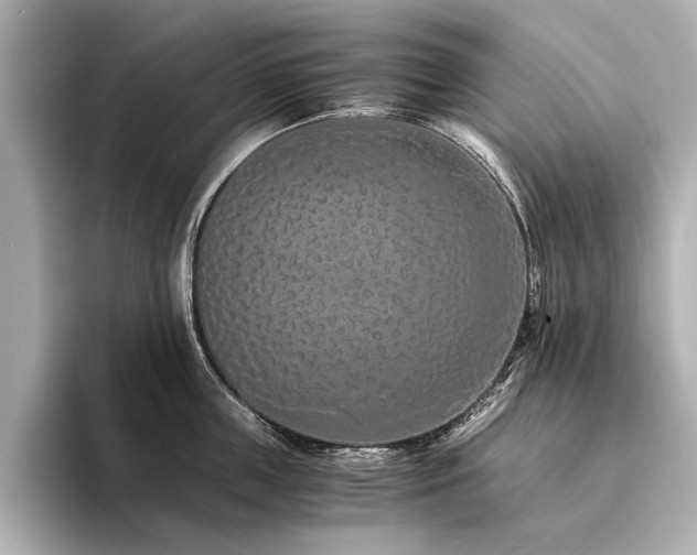 X0000094320859200711021350