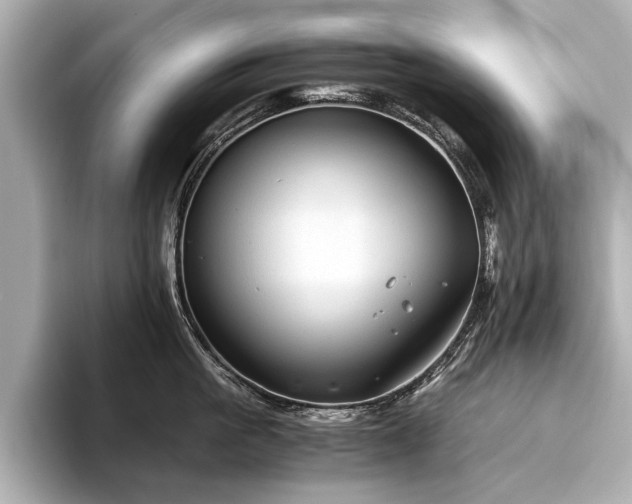 X0000094320861200711021350